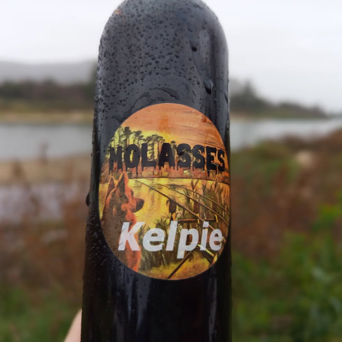 Kelpie Molasses